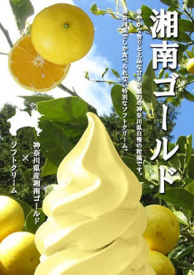 湘南ゴールドソフトクリームの写真