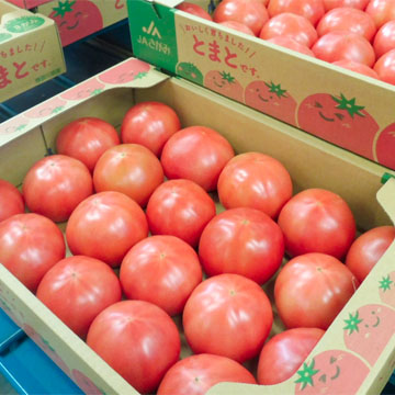 さがみのトマトの写真