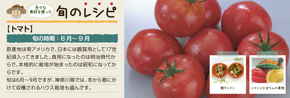色々な食材を使った旬のレシピ（トマト）