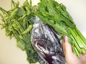 つやつやと美しい吉田さんの有機野菜写真