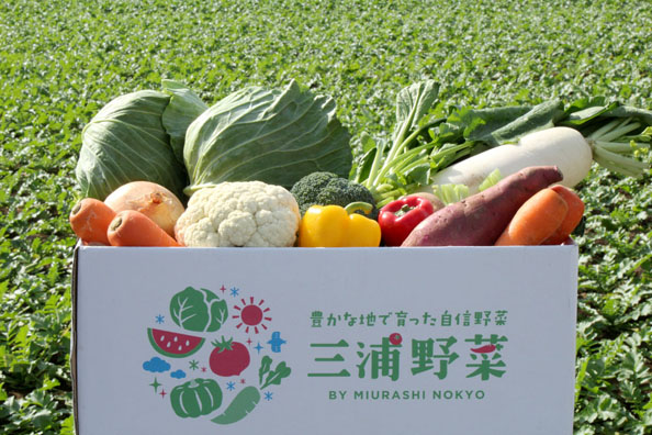三浦市農協の新鮮野菜写真