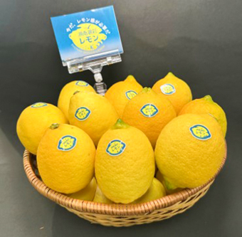 湘南潮彩レモンの写真