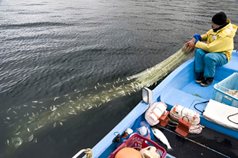 芦ノ湖のわかさぎ刺し網漁の写真