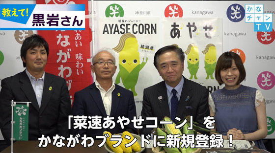 【教えて！黒岩さん】「菜速あやせコーン」をかながわブランドに新規登録！サムネイル画像